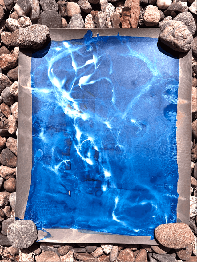 seaweed and cheesecloth