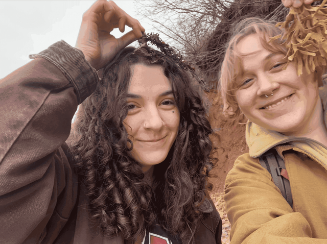 seaweeds to match our hair