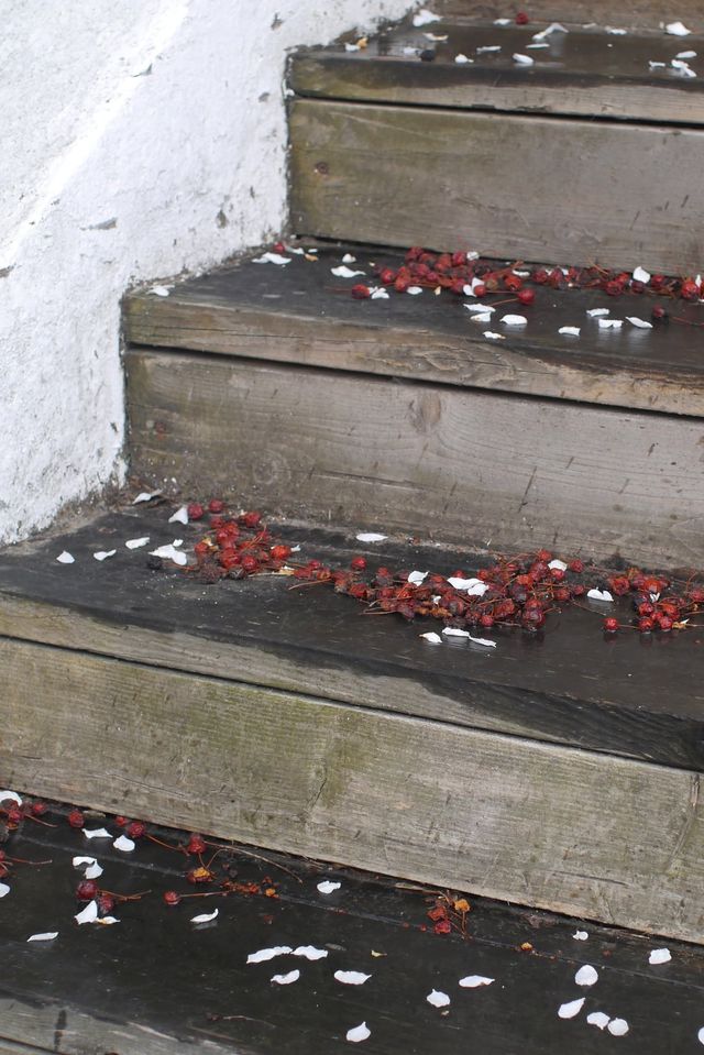 petals and berries