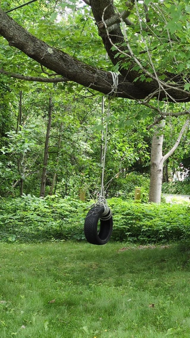 Tire Swing